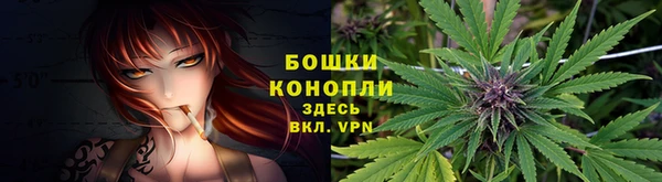 PSILOCYBIN Нея