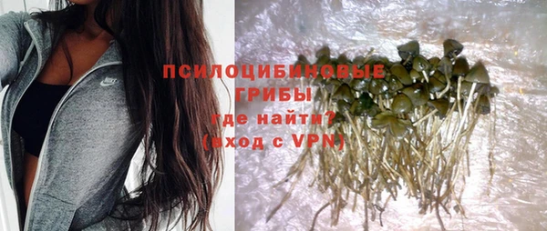 дурь Бикин