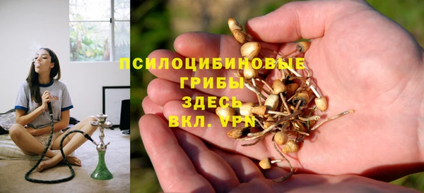эйфоретик Нефтегорск