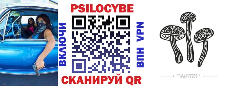Псилоцибиновые грибы Cubensis  Чехов 